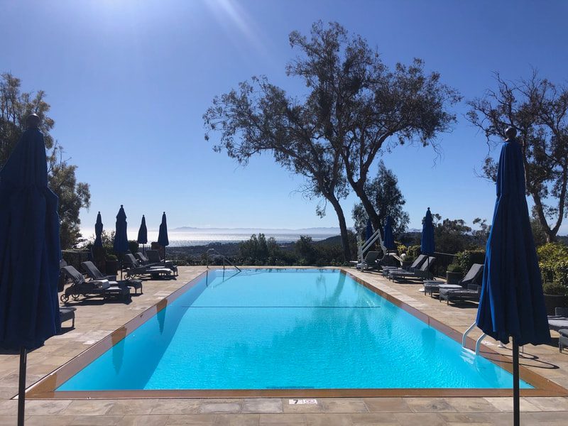 pool surround by trees