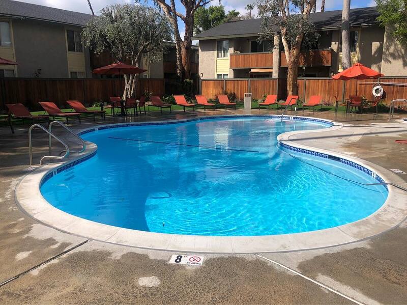 backyard pool